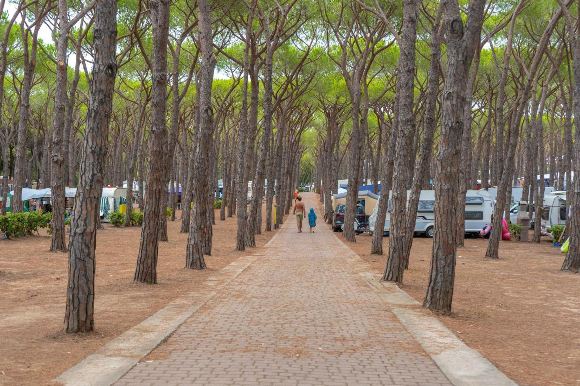 Camping Village Baia Blu La Tortuga Aglientu Ngoại thất bức ảnh